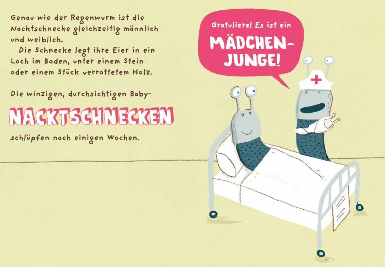 Bild: 9783911687058 | Die Nacktschnecke | Elise Gravel | Buch | 32 S. | Deutsch | 2026