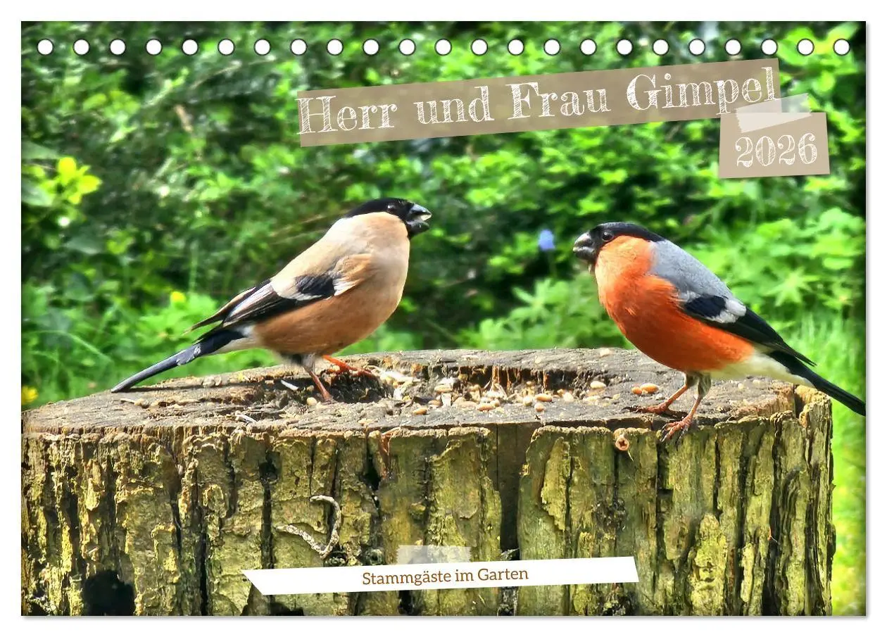 Cover: 9783457407158 | Herr und Frau Gimpel - Stammgäste im Garten (Tischkalender 2026 DIN...