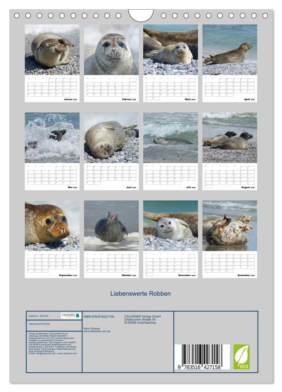Bild: 9783516427158 | Liebenswerte Robben (Wandkalender 2026 DIN A4 hoch), CALVENDO...