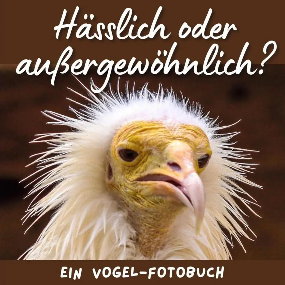Cover: 9783750517158 | Hässlich oder außergewöhnlich? | Ein Vogel-Fotobuch | Bibi Hübsch