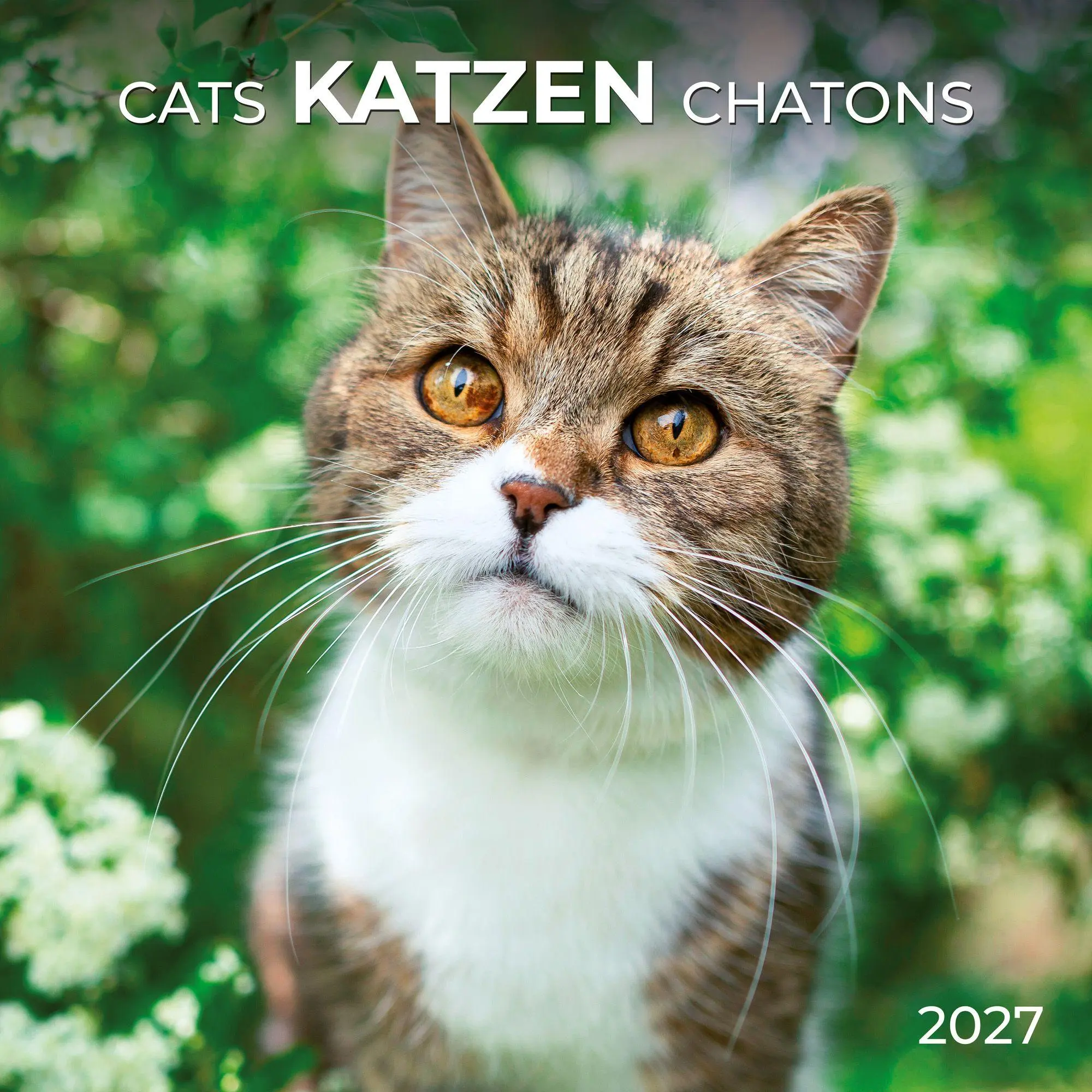 Cover: 9783959297158 | Katzen / Cats 2027 | Kalender 2027 | Kalender | Artwork Edition | 2027