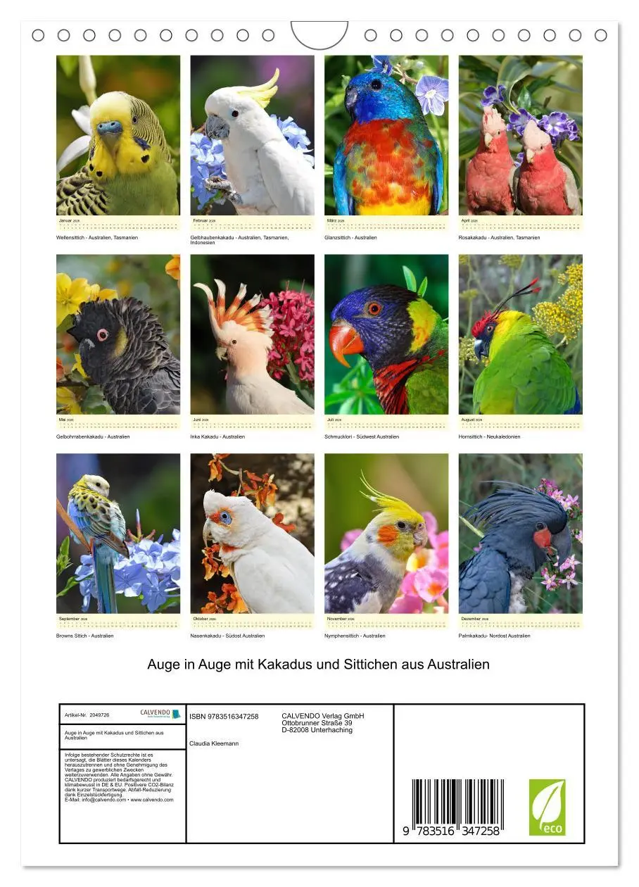 Bild: 9783516347258 | Auge in Auge mit Kakadus und Sittichen aus Australien (Wandkalender...
