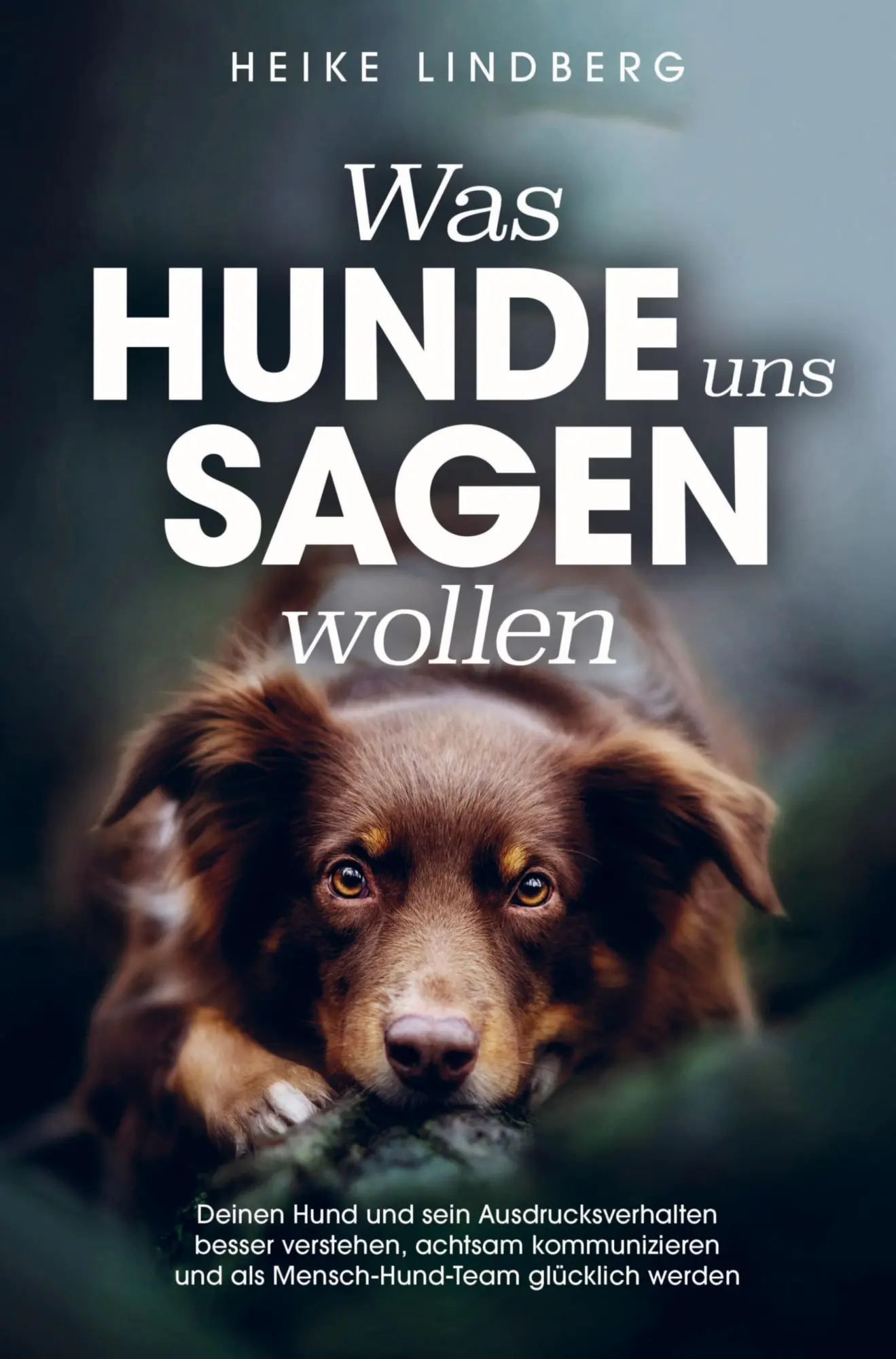 Cover: 9789403717258 | Was Hunde uns sagen wollen | Heike Lindberg | Taschenbuch | 196 S.