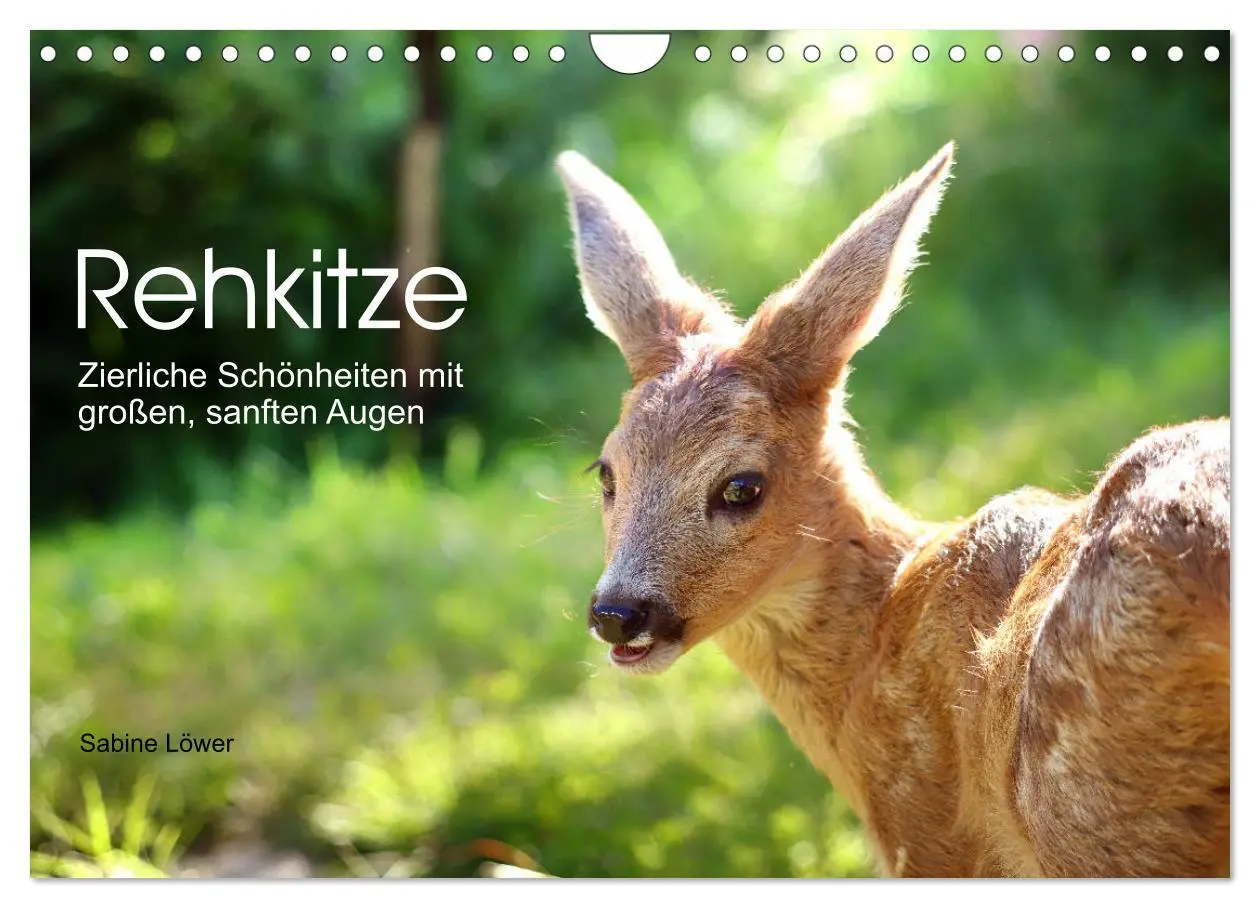 Cover: 9783457797358 | Rehkitze, zierliche Schönheiten mit großen, sanften Augen...