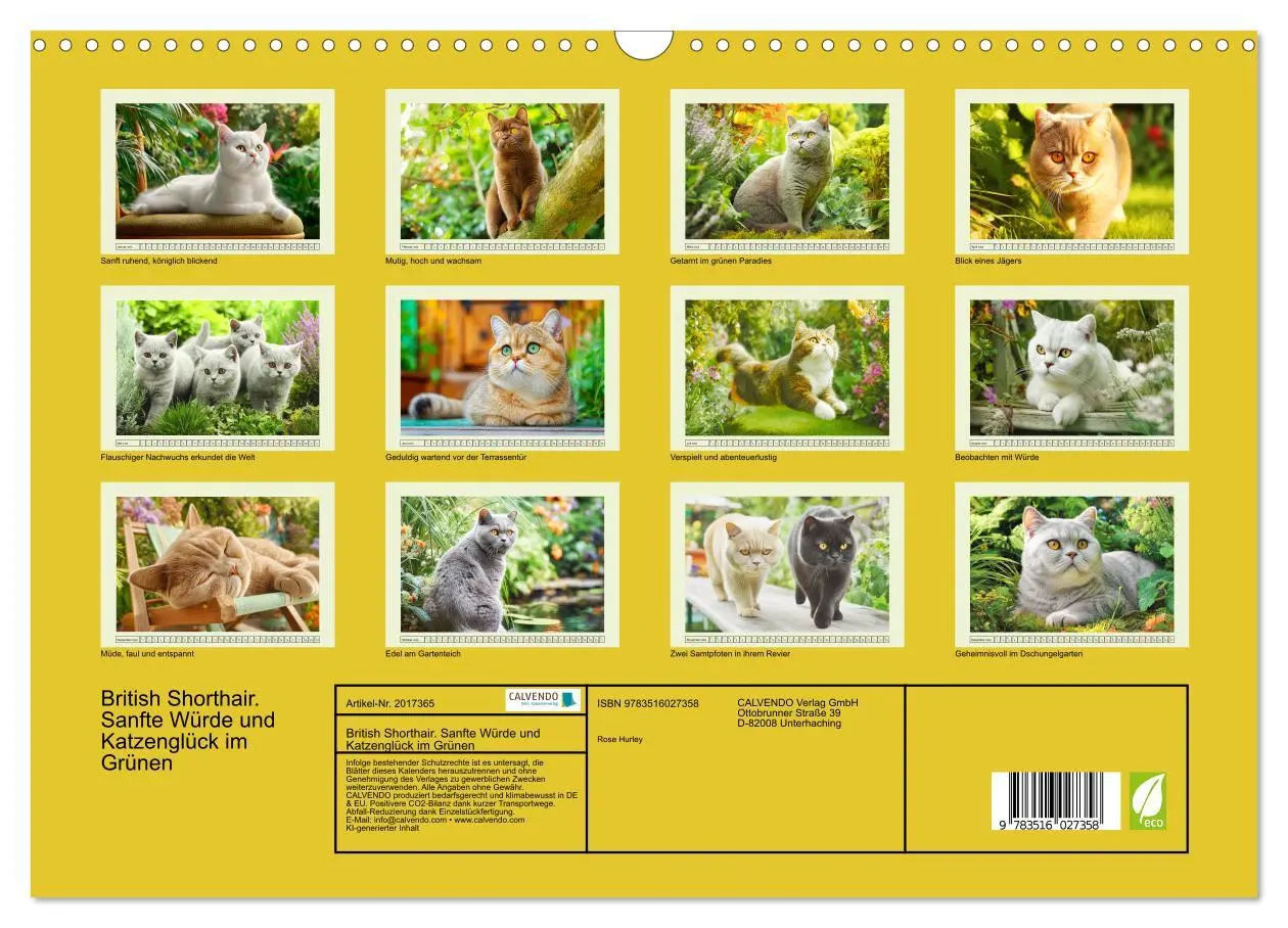 Bild: 9783516027358 | British Shorthair. Sanfte Würde und Katzenglück im Grünen...