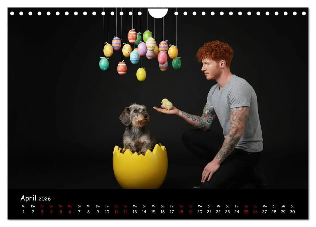 Bild: 9783516717358 | Coole Typen - Rauhaardackel (Wandkalender 2026 DIN A4 quer),...