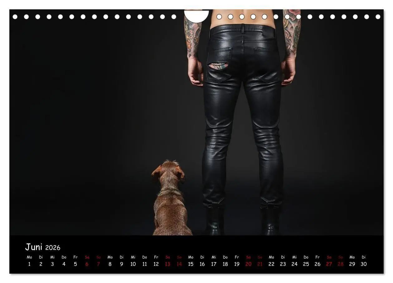 Bild: 9783516717358 | Coole Typen - Rauhaardackel (Wandkalender 2026 DIN A4 quer),...