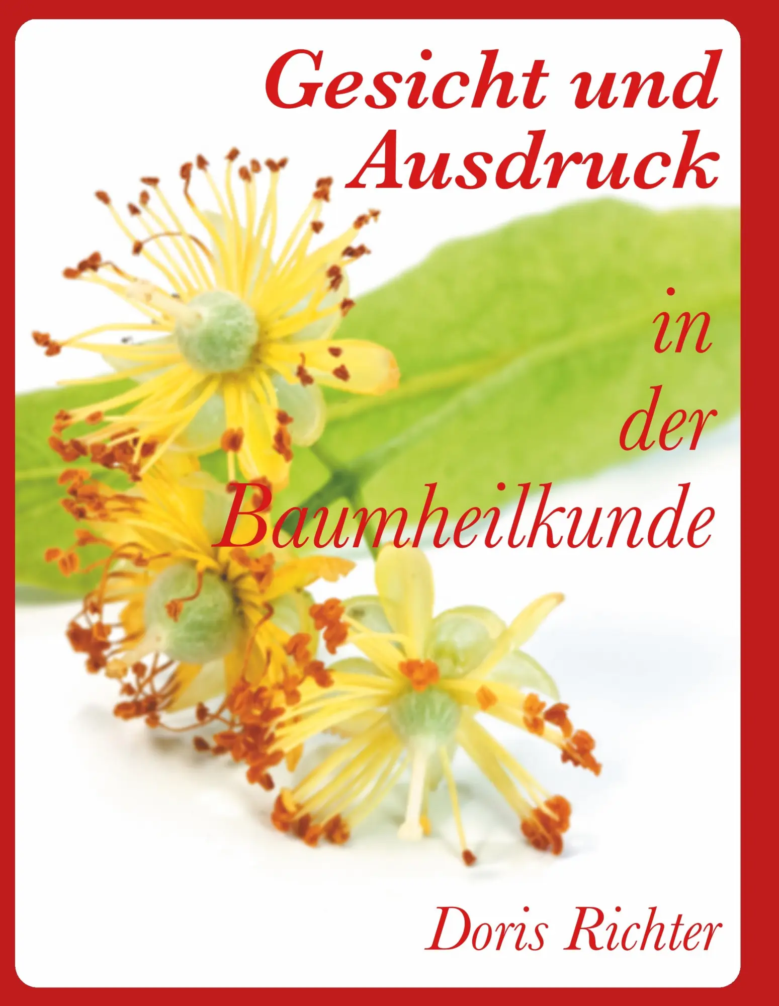 Cover: 9783750427358 | Gesicht und Ausdruck | In der Baumheilkunde | Doris Richter | Buch