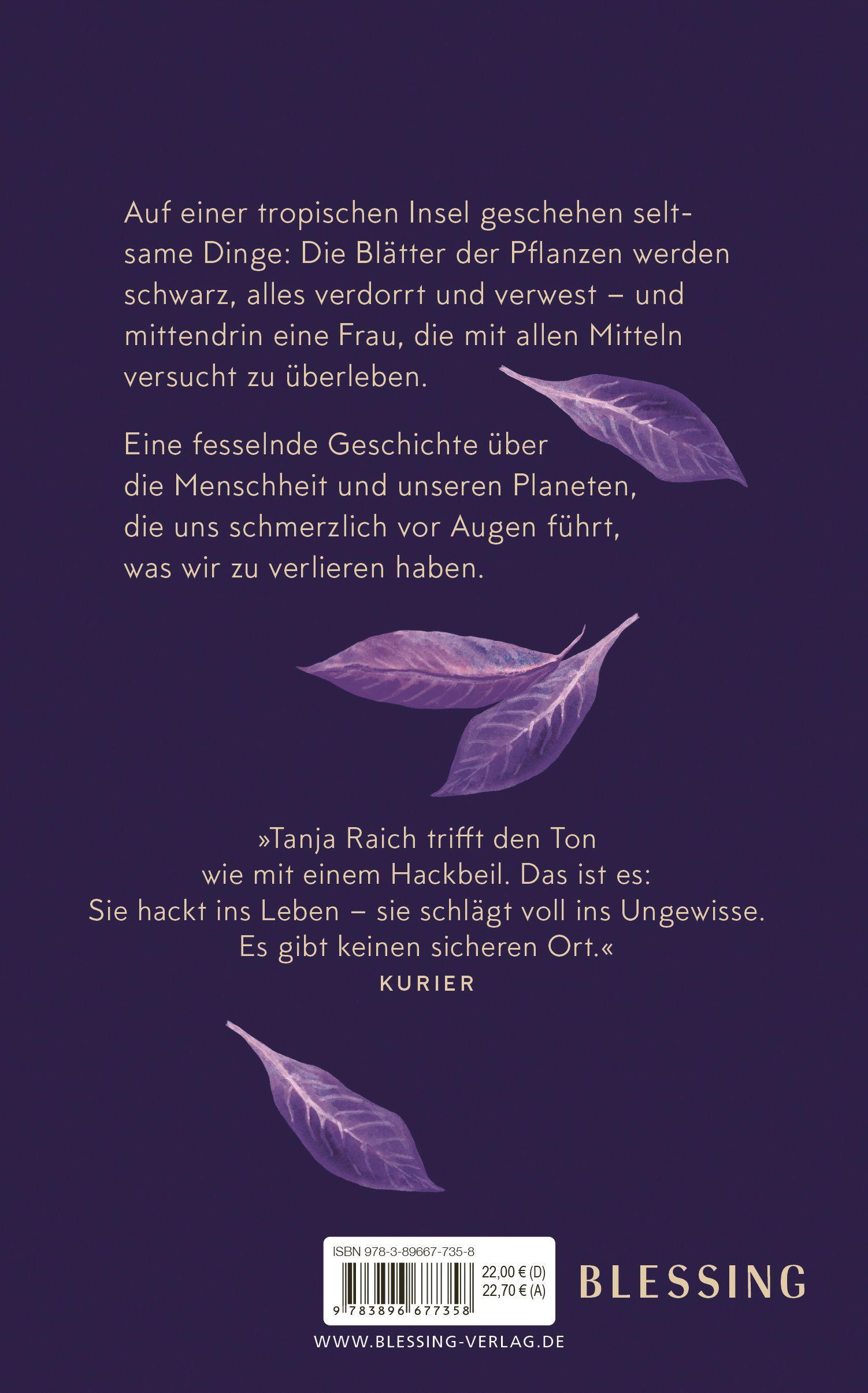 Bild: 9783896677358 | Schwerer als das Licht | Roman | Tanja Raich | Buch | 192 S. | Deutsch