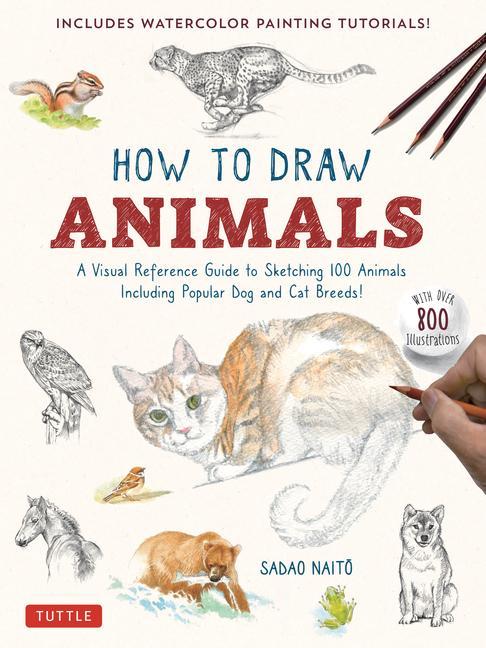Cover: 9784805317358 | How to Draw Animals | Sadao Naito | Taschenbuch | Englisch | 2023