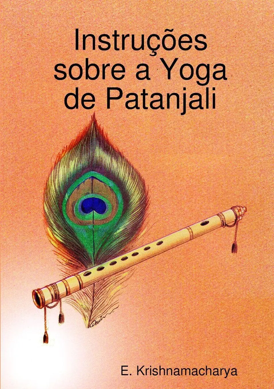 Cover: 9780244207458 | Instruções sobre a Yoga de Patanjali | E. Krishnamacharya | Buch
