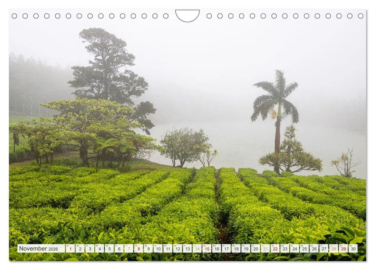 Bild: 9783457547458 | Trauminseln der Welt - Mauritius (Wandkalender 2026 DIN A4 quer),...