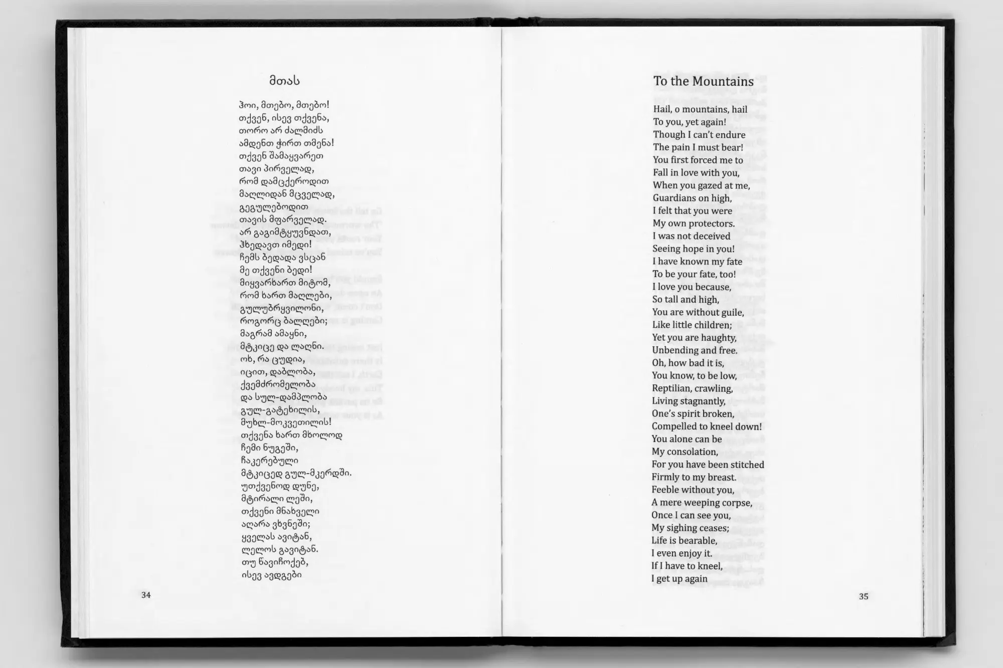 Bild: 9783954767458 | Thea Djordjadze | Thea Djordjadze (u. a.) | Taschenbuch | 288 S.