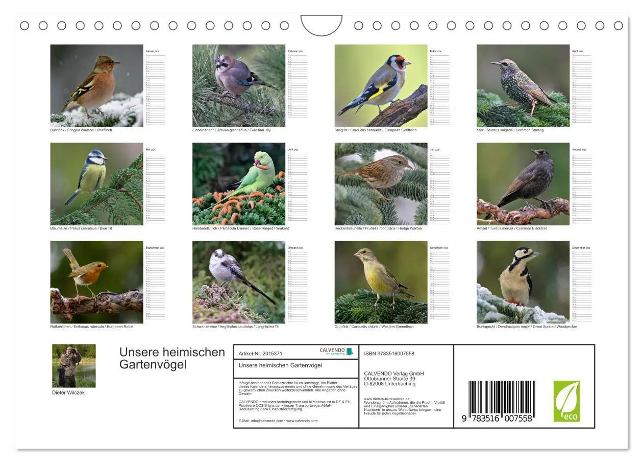 Bild: 9783516007558 | Unsere heimischen Gartenvögel (Wandkalender 2026 DIN A4 quer),...