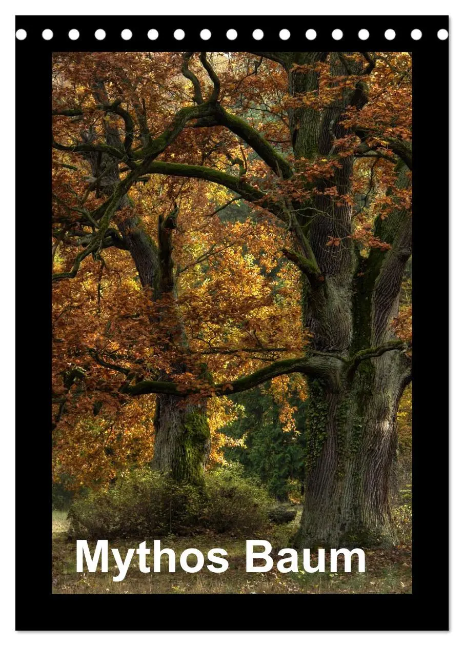 Cover: 9783516487558 | Mythos Baum / 2026 (Tischkalender 2026 DIN A5 hoch), CALVENDO...