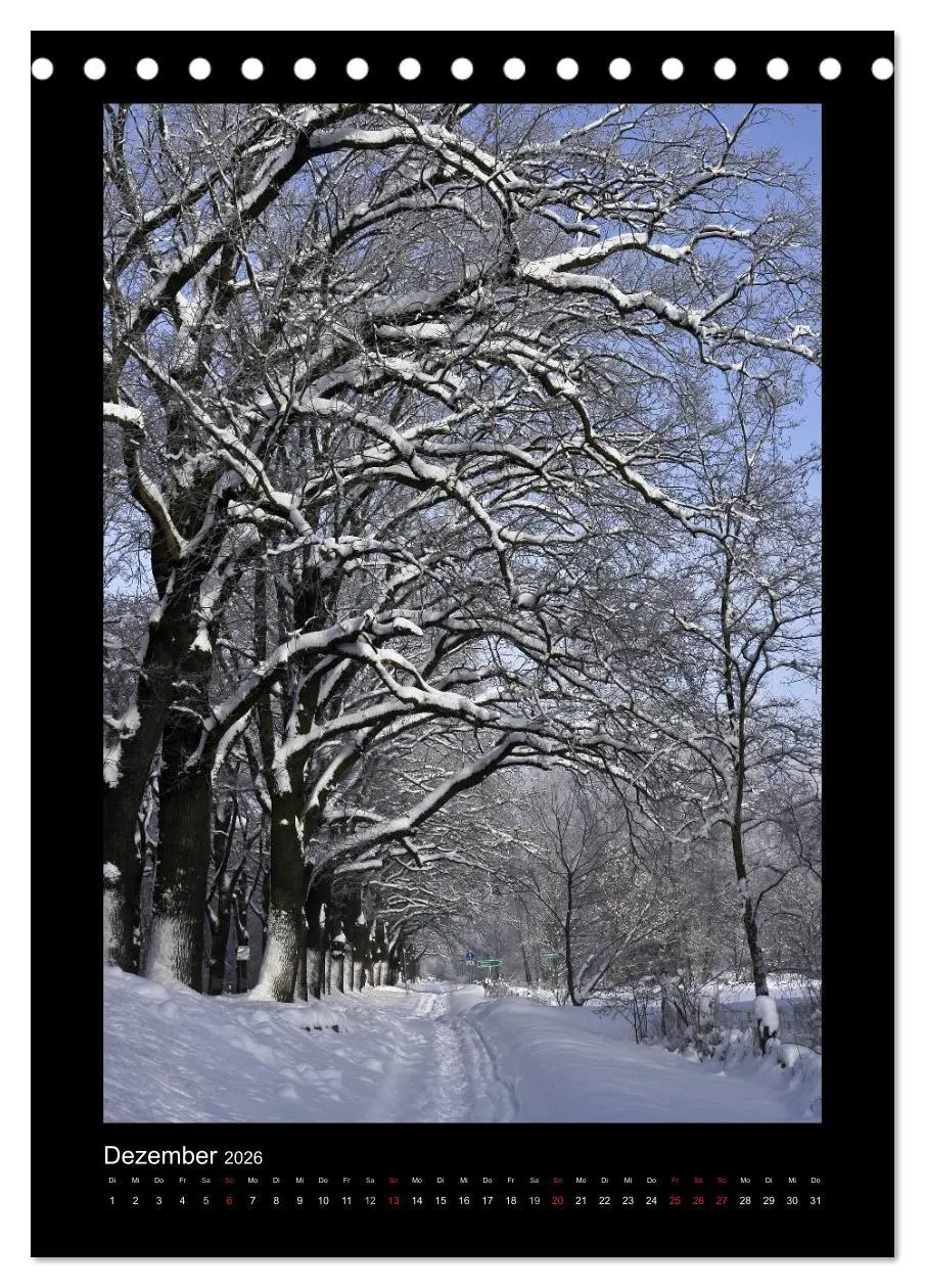 Bild: 9783516487558 | Mythos Baum / 2026 (Tischkalender 2026 DIN A5 hoch), CALVENDO...