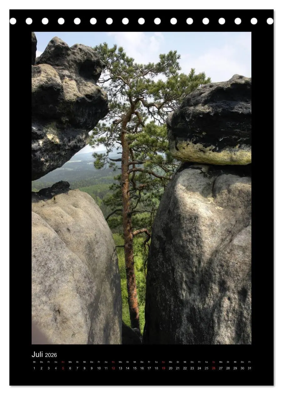 Bild: 9783516487558 | Mythos Baum / 2026 (Tischkalender 2026 DIN A5 hoch), CALVENDO...