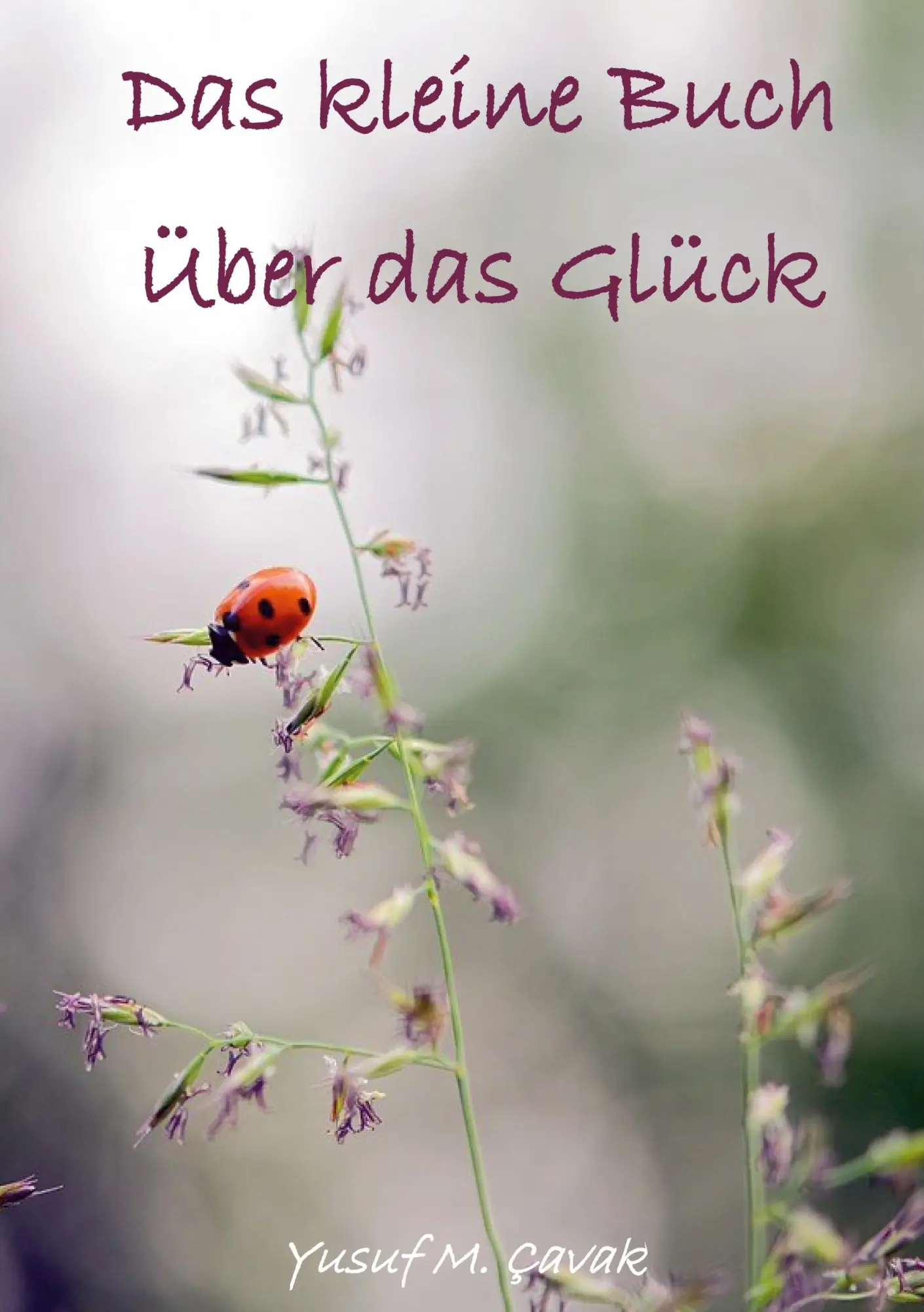 Cover: 9783769317558 | Das kleine Buch über das Glück | Yusuf M. Çavak | Taschenbuch | 50 S.