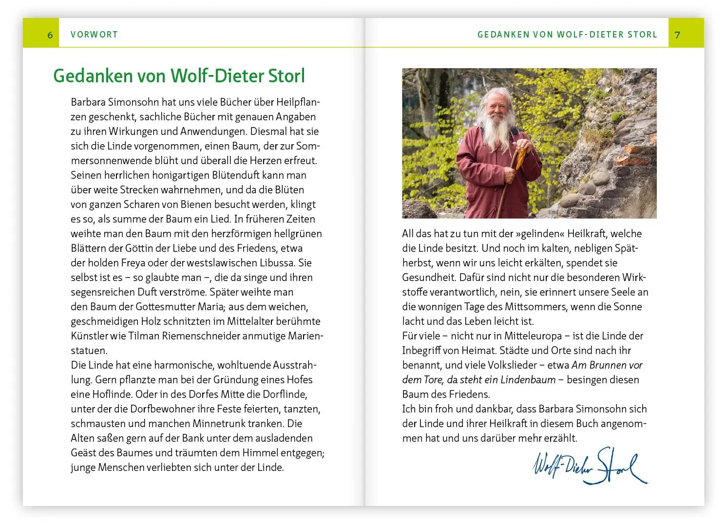 Bild: 9783863747558 | Die Linde - Baum der Heilung und Harmonie | Barbara Simonsohn | Buch