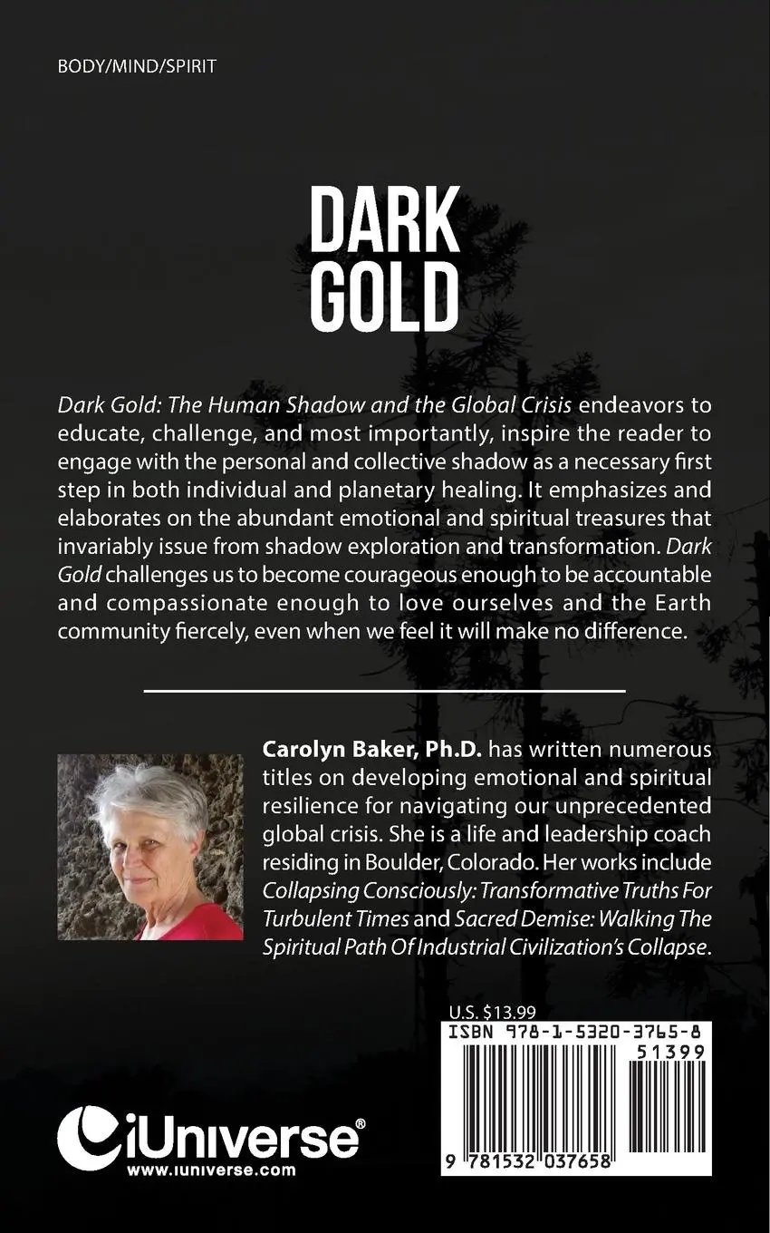 Rückseite: 9781532037658 | Dark Gold | The Human Shadow and the Global Crisis | Carolyn Baker