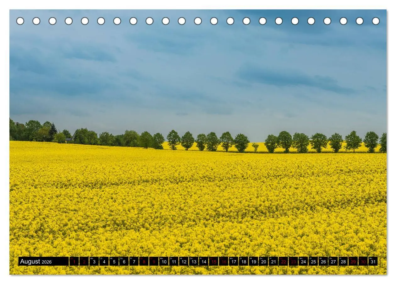 Bild: 9783457837658 | Ostsee - Boltenhagen (Tischkalender 2026 DIN A5 quer), CALVENDO...