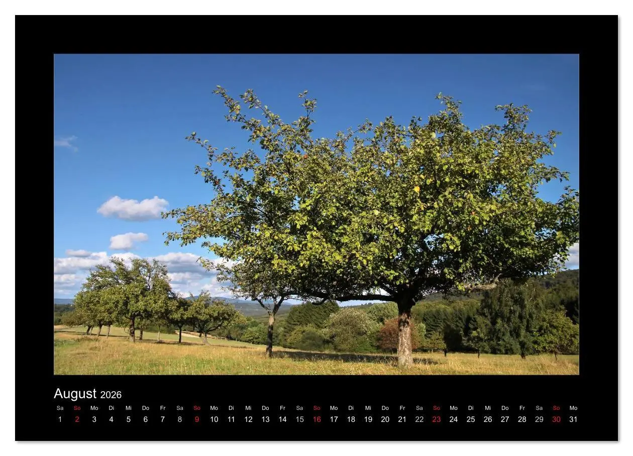 Bild: 9783516167658 | Taunus (Wandkalender 2026 DIN A4 quer), CALVENDO Monatskalender | 2026