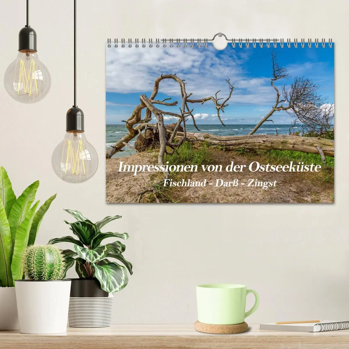 Bild: 9783457757758 | Impressionen von der Ostsee Fischland-Darß-Zingst (Wandkalender...