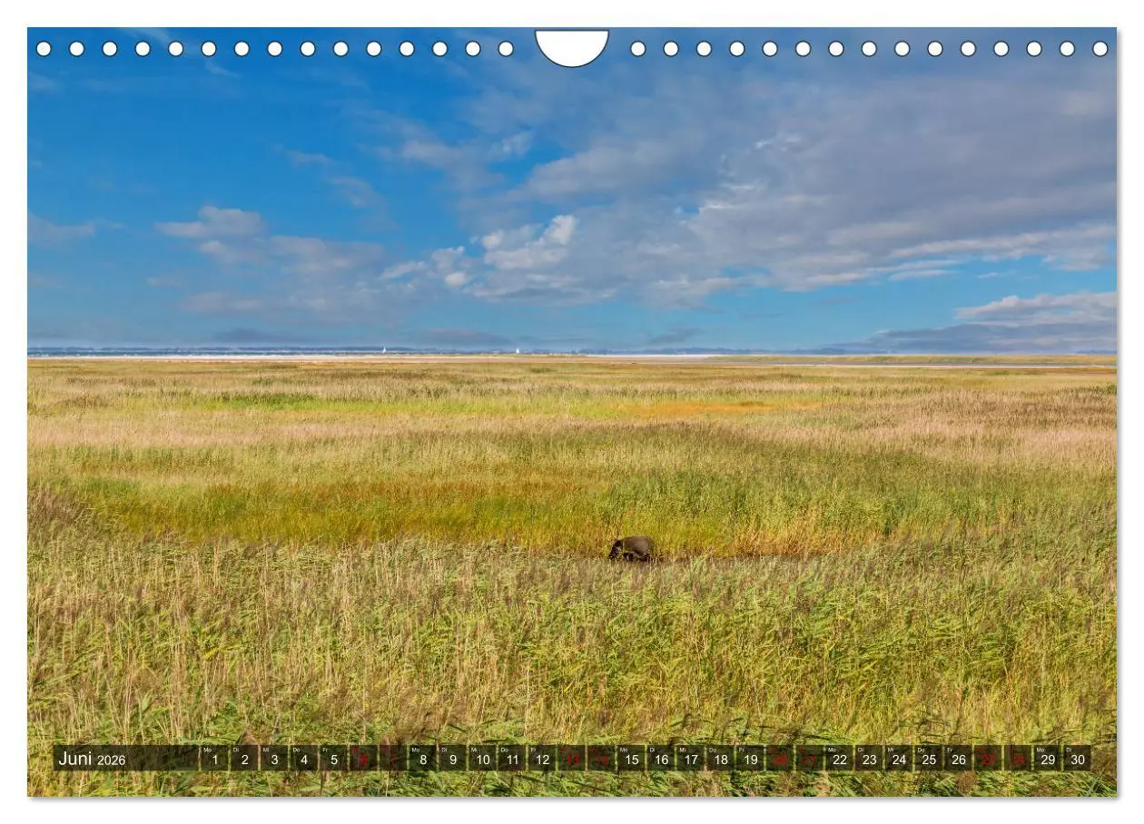 Bild: 9783457757758 | Impressionen von der Ostsee Fischland-Darß-Zingst (Wandkalender...