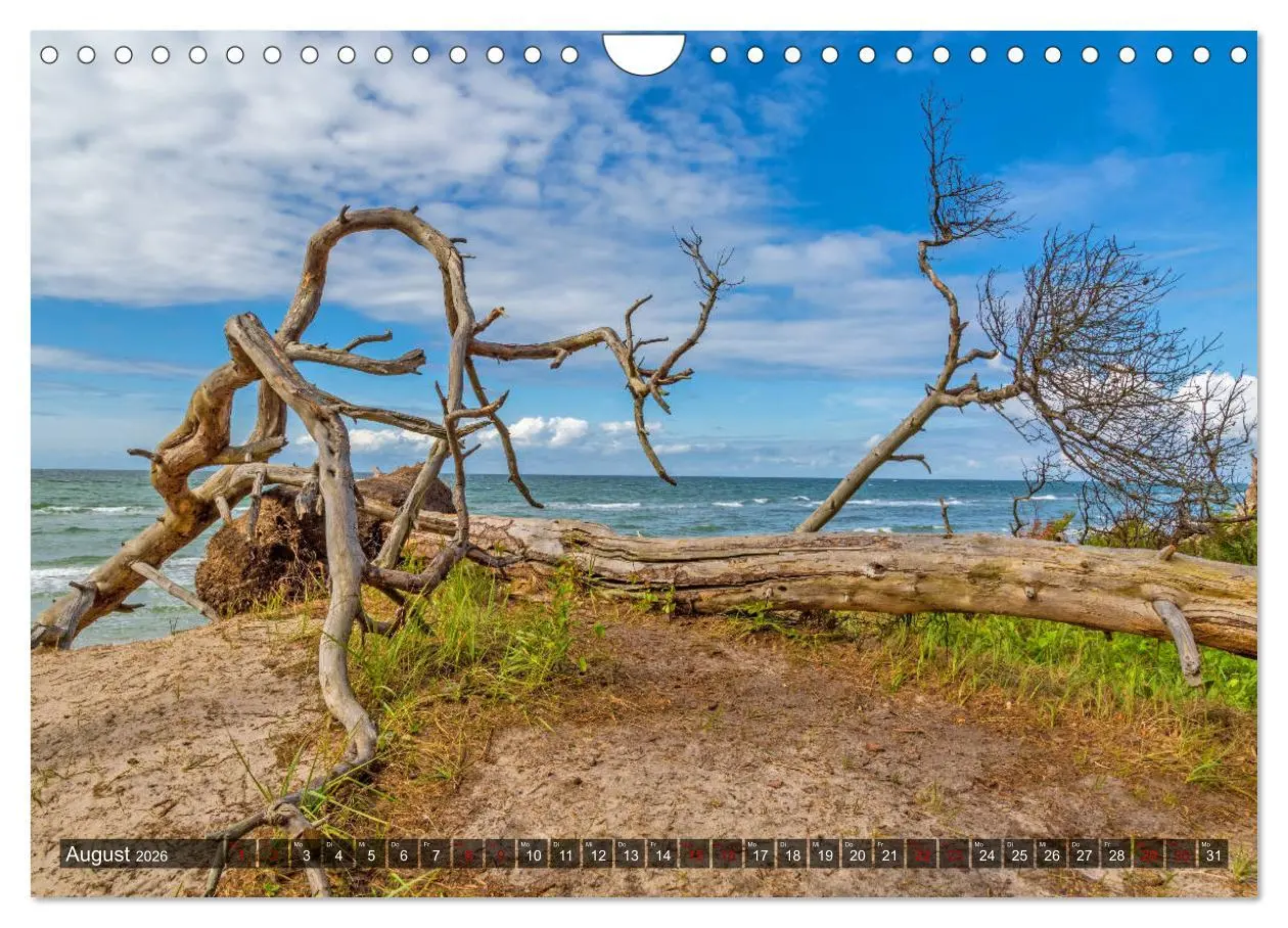 Bild: 9783457757758 | Impressionen von der Ostsee Fischland-Darß-Zingst (Wandkalender...