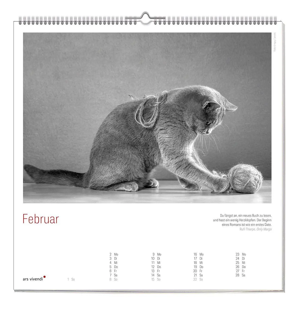 Bild: 9783747207758 | Der grosse literarische Katzen Kalender 2027 | Wandkalender | Ars