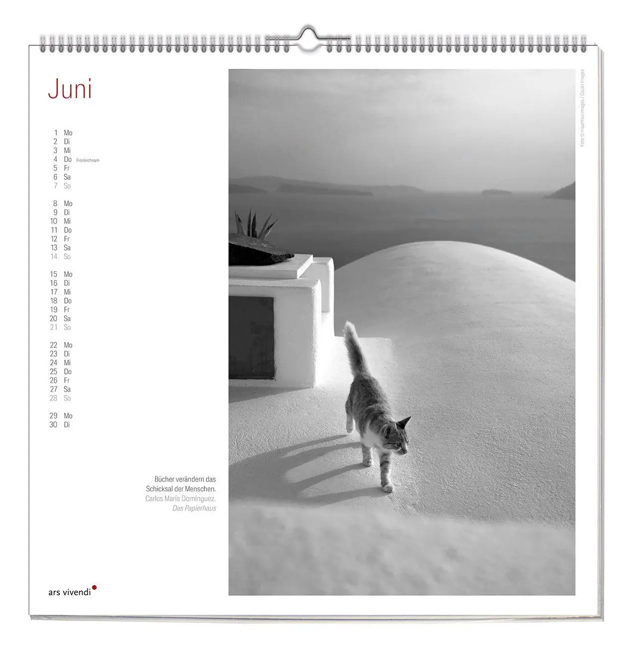 Bild: 9783747207758 | Der grosse literarische Katzen Kalender 2027 | Wandkalender | Ars