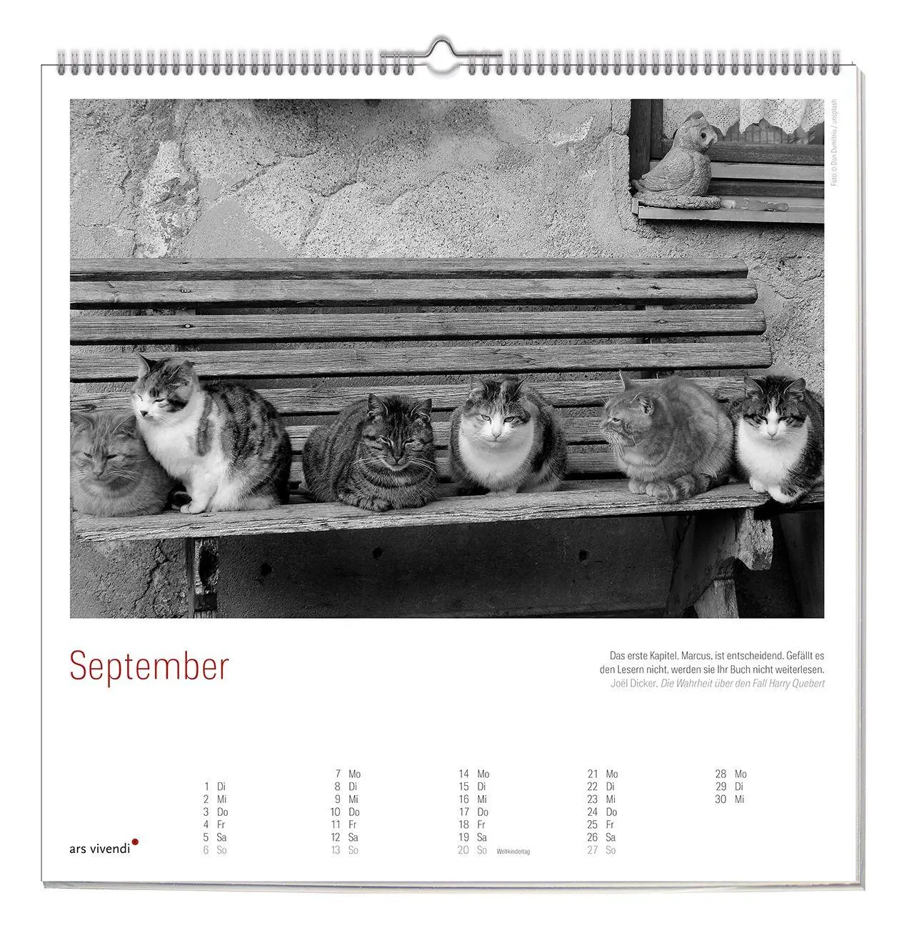 Bild: 9783747207758 | Der grosse literarische Katzen Kalender 2027 | Wandkalender | Ars