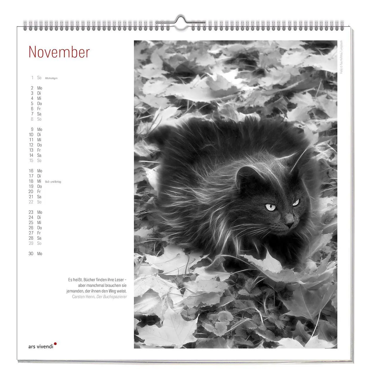Bild: 9783747207758 | Der grosse literarische Katzen Kalender 2027 | Wandkalender | Ars