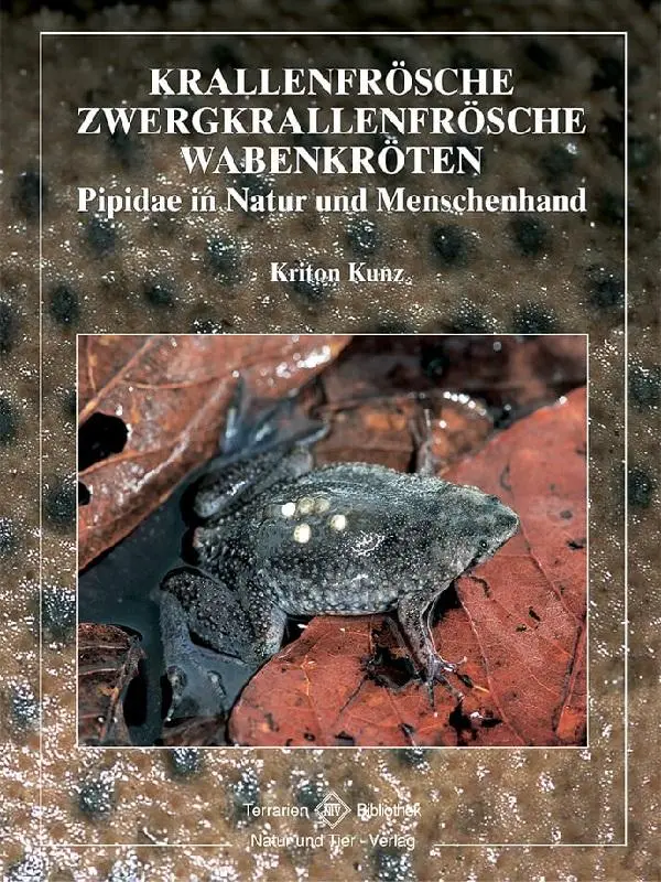 Cover: 9783931587758 | Krallenfrösche, Zwergkrallenfrösche, Wabenkröten | Kriton Kunz | Buch Cover: 9783931587758 | Krallenfrösche, Zwergkrallenfrösche, Wabenkröten | Kriton Kunz | Buch