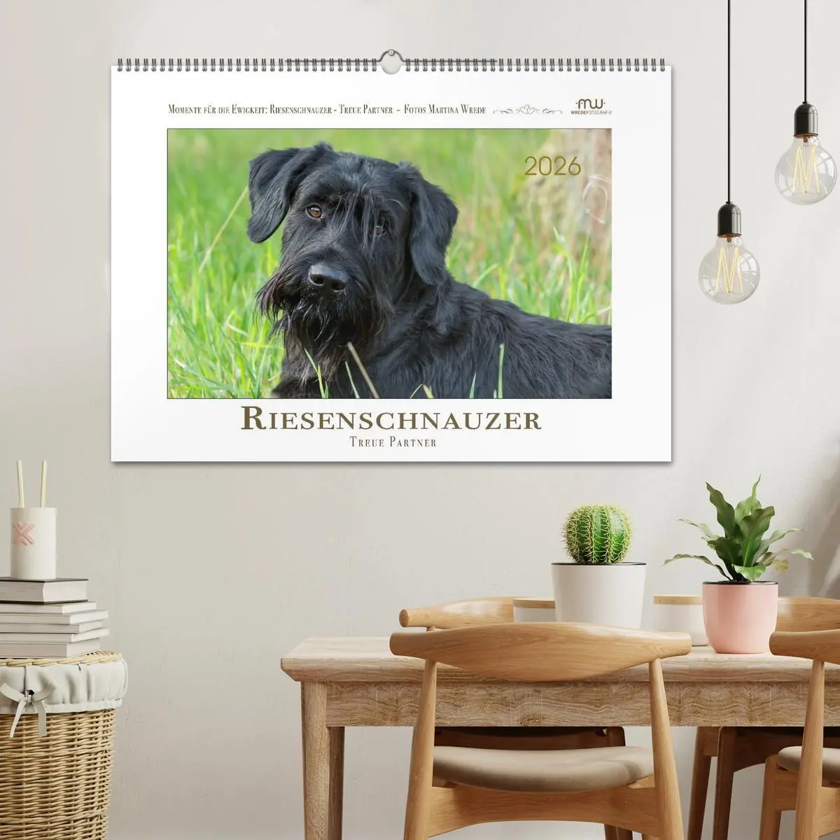 Bild: 9783457297858 | Riesenschnauzer - Treue Partner (Wandkalender 2026 DIN A2 quer),...