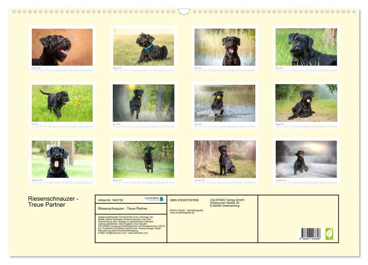 Bild: 9783457297858 | Riesenschnauzer - Treue Partner (Wandkalender 2026 DIN A2 quer),...