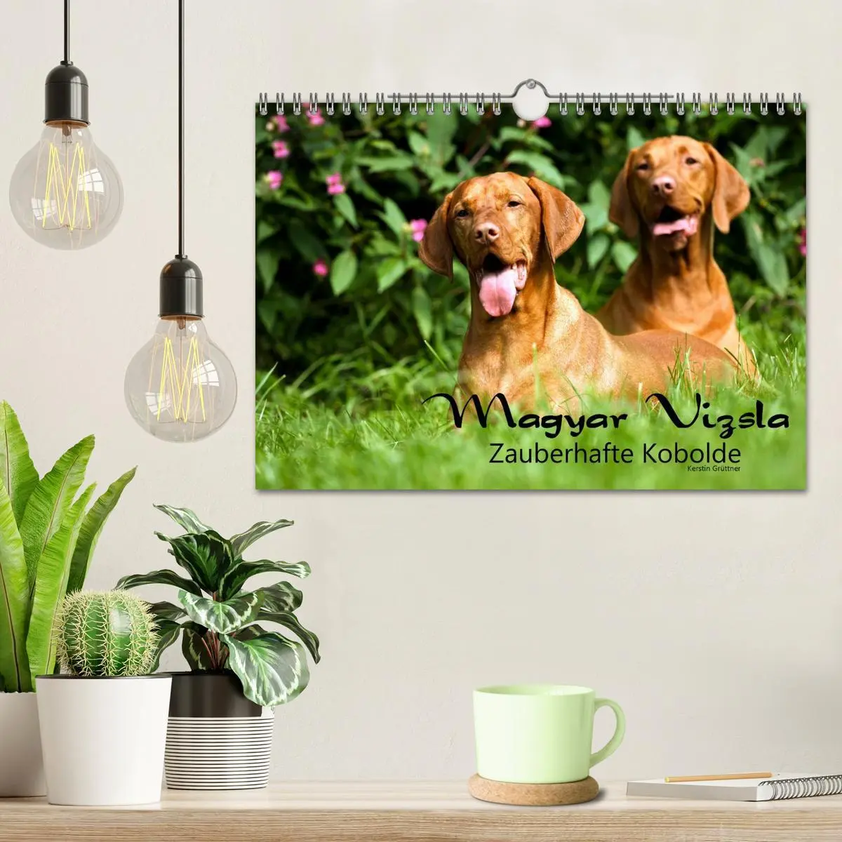 Bild: 9783457987858 | Magyar Vizsla - Zauberhafte Kobolde (Wandkalender 2026 DIN A4...