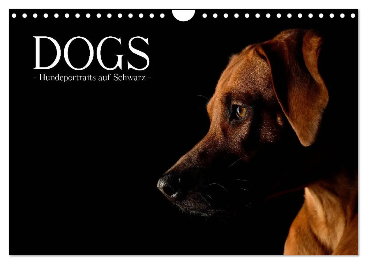 Cover: 9783516147858 | Dogs (Wandkalender 2026 DIN A4 quer), CALVENDO Monatskalender | Noack