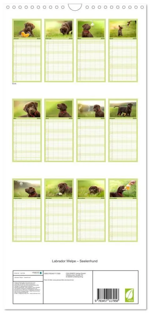 Bild: 9783457117958 | Familienplaner 2025 - Labrador Welpe - Seelenhund mit 5 Spalten...