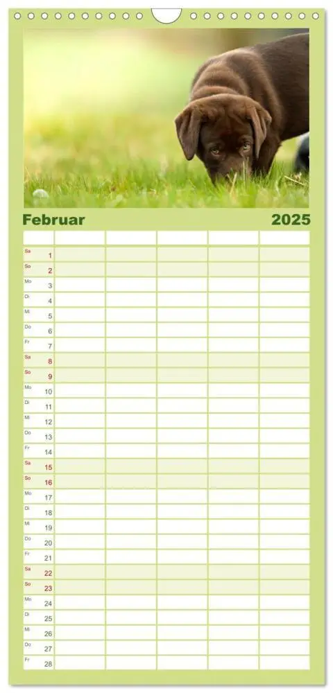 Bild: 9783457117958 | Familienplaner 2025 - Labrador Welpe - Seelenhund mit 5 Spalten...