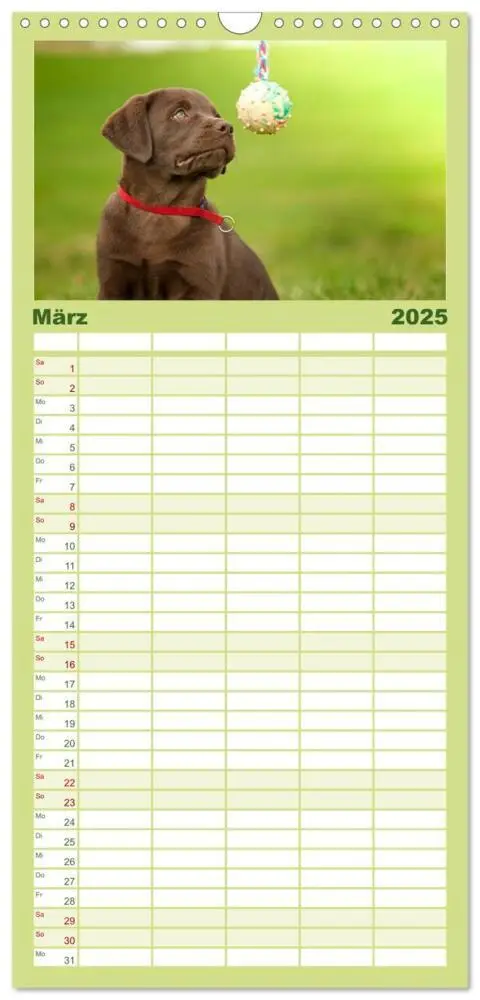Bild: 9783457117958 | Familienplaner 2025 - Labrador Welpe - Seelenhund mit 5 Spalten...