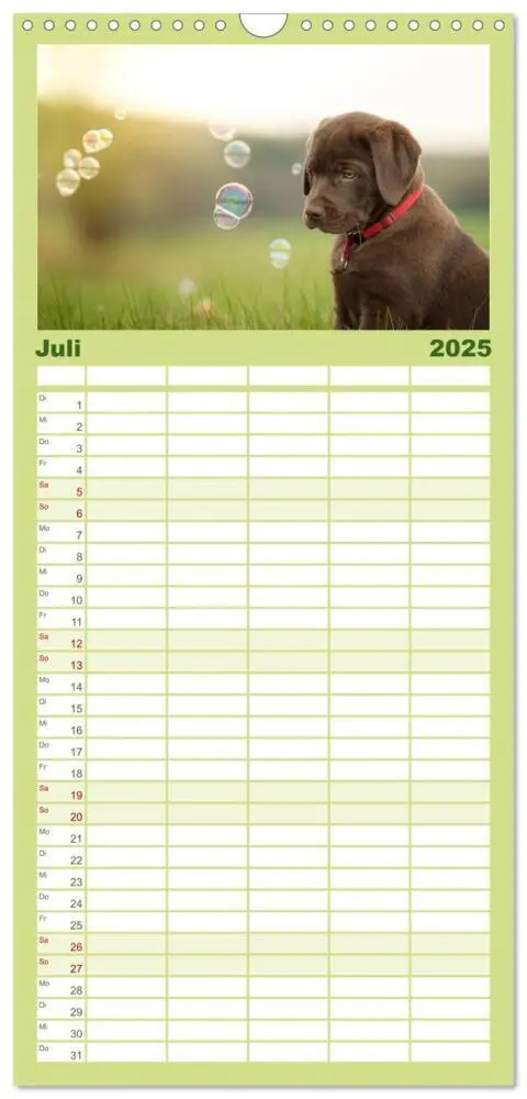 Bild: 9783457117958 | Familienplaner 2025 - Labrador Welpe - Seelenhund mit 5 Spalten...