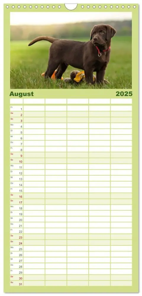 Bild: 9783457117958 | Familienplaner 2025 - Labrador Welpe - Seelenhund mit 5 Spalten...