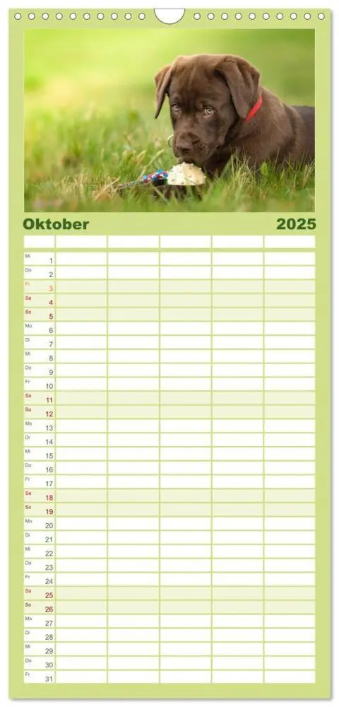 Bild: 9783457117958 | Familienplaner 2025 - Labrador Welpe - Seelenhund mit 5 Spalten...