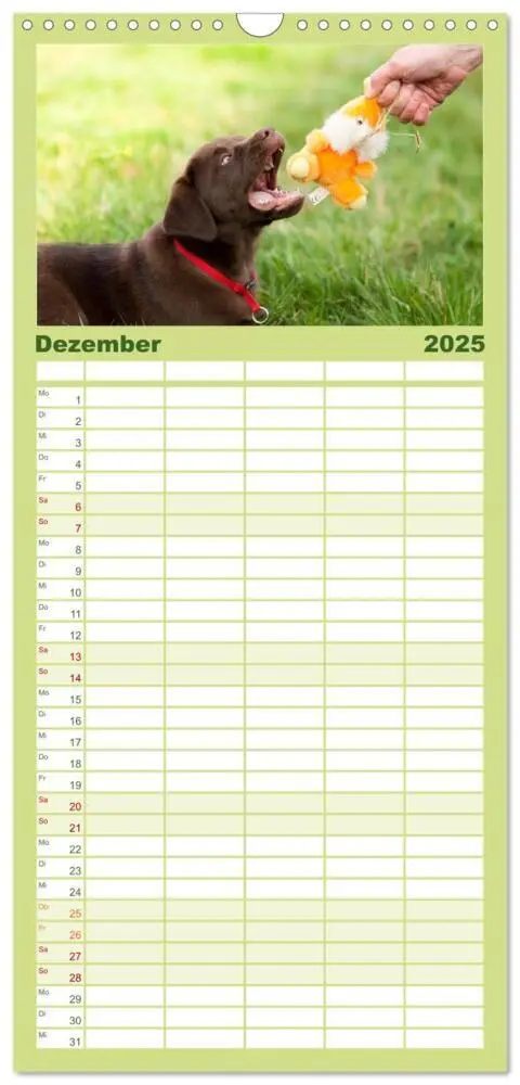 Bild: 9783457117958 | Familienplaner 2025 - Labrador Welpe - Seelenhund mit 5 Spalten...