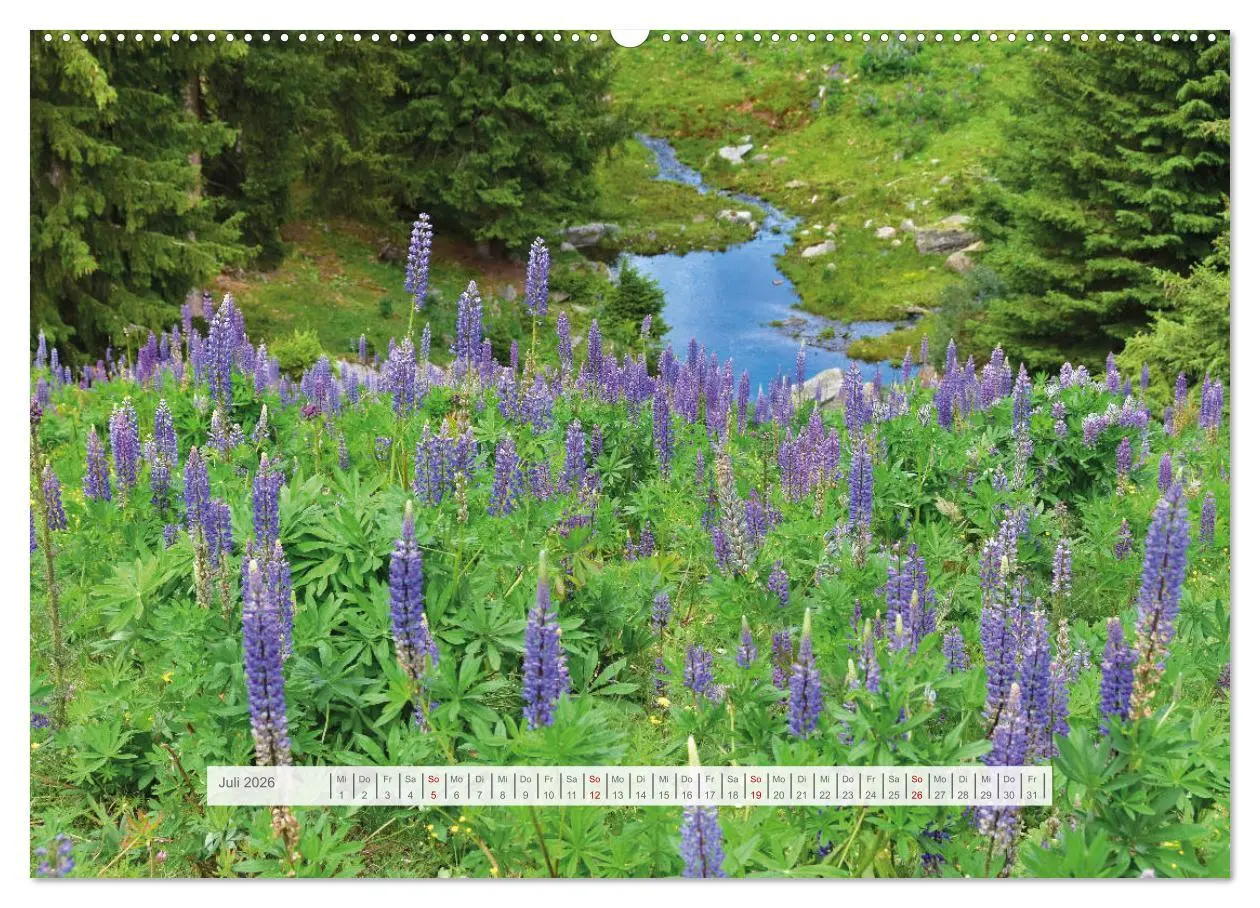 Bild: 9783457667958 | Hoch oben in den Ötztaler Alpen (Wandkalender 2026 DIN A2 quer),...