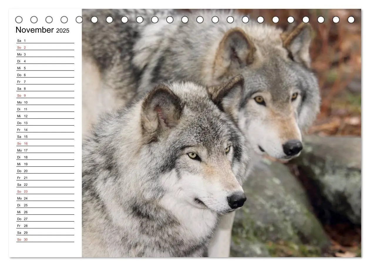 Bild: 9783435538058 | Alaska und Kanada (Tischkalender 2025 DIN A5 quer), CALVENDO...