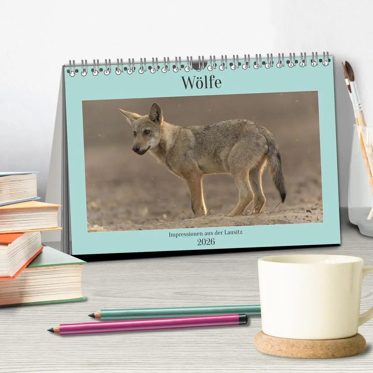 Bild: 9783457488058 | Wölfe, Impressionen aus der Lausitz (Tischkalender 2026 DIN A5...