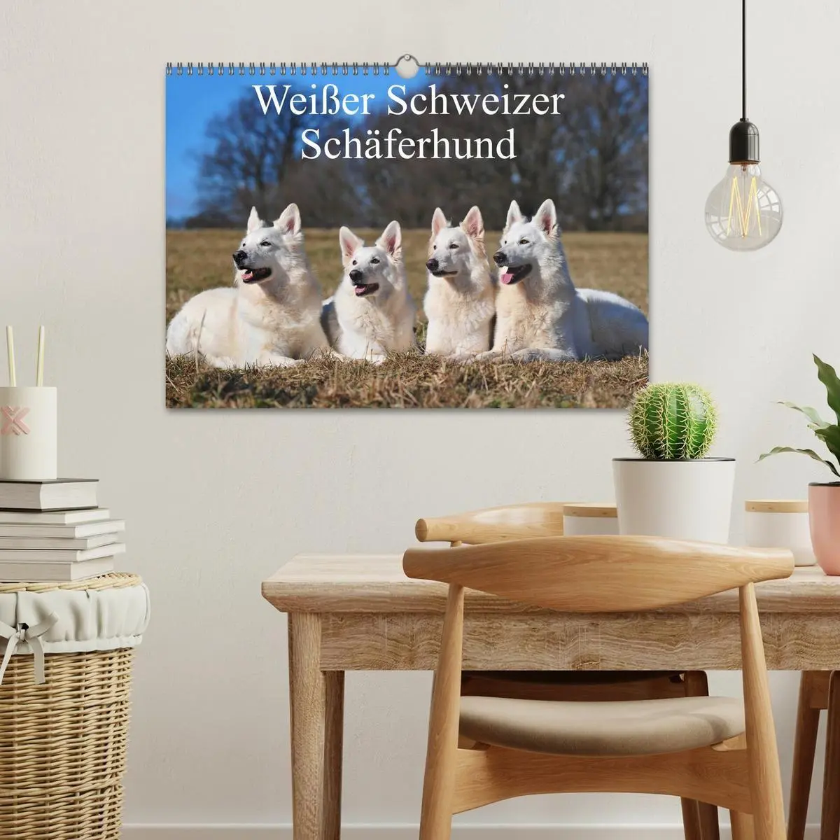 Bild: 9783594178058 | Weißer Schweizer Schäferhund (Wandkalender 2027 DIN A3 quer),...