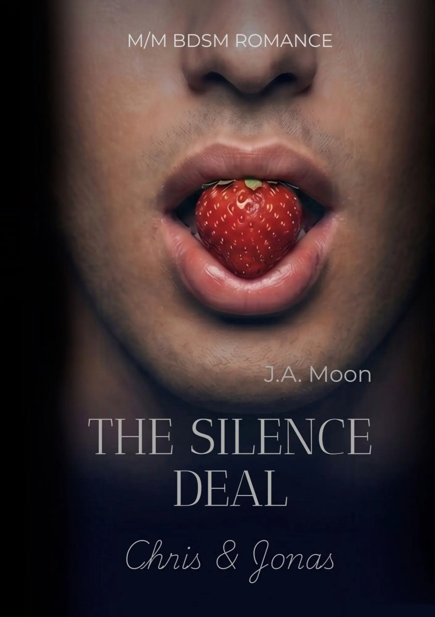 Cover: 9783696388058 | The Silence Deal | Chris &amp; Jonas | J. A. Moon | Taschenbuch | The Deal